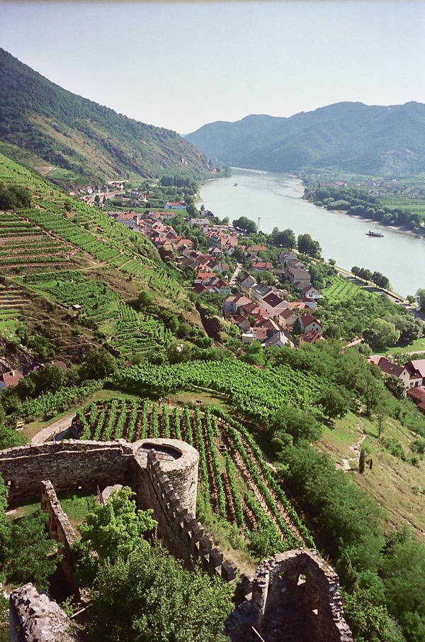 View of Spitz and wineyards, Austra